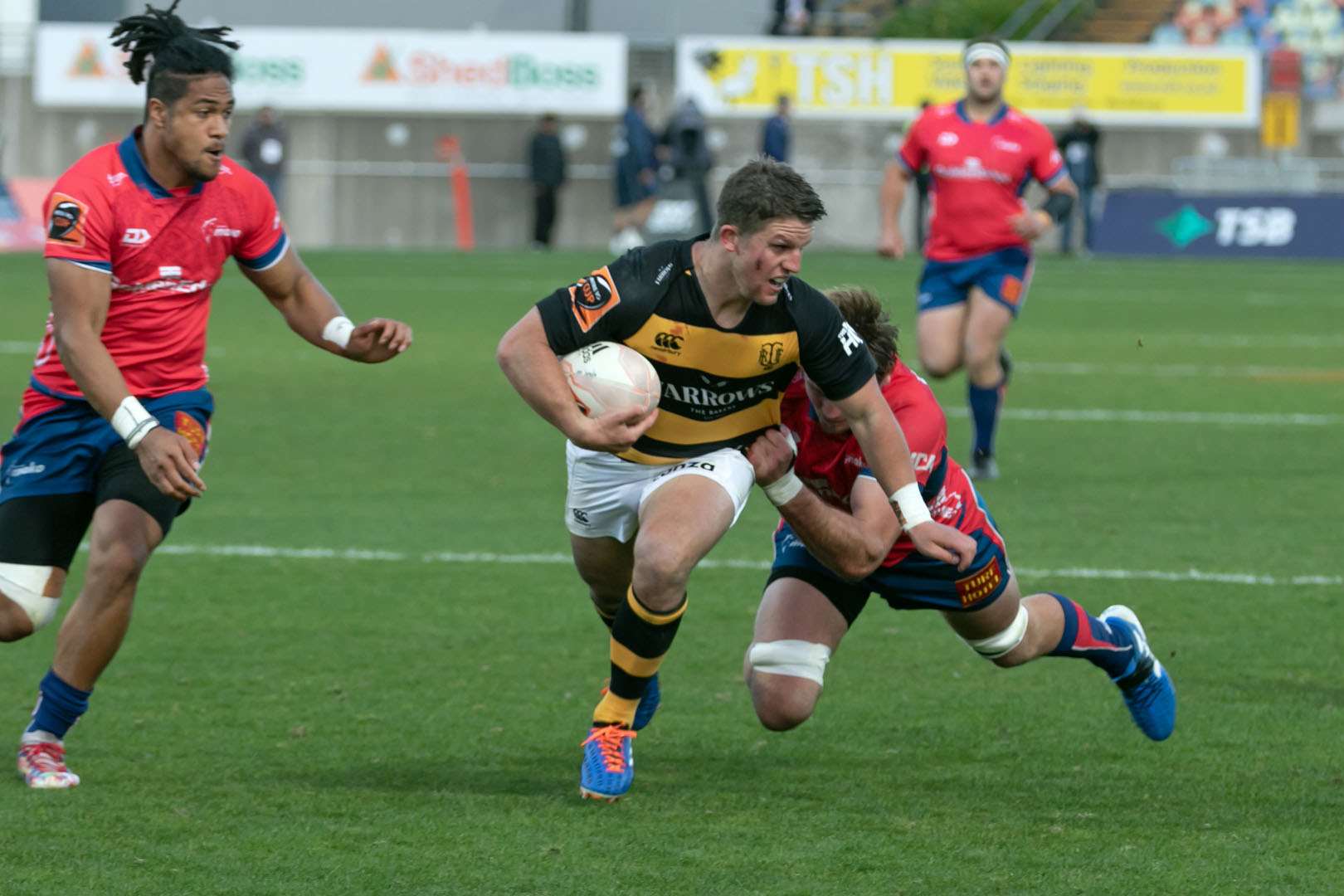 Walden to captain Yarrows Taranaki against Auckland