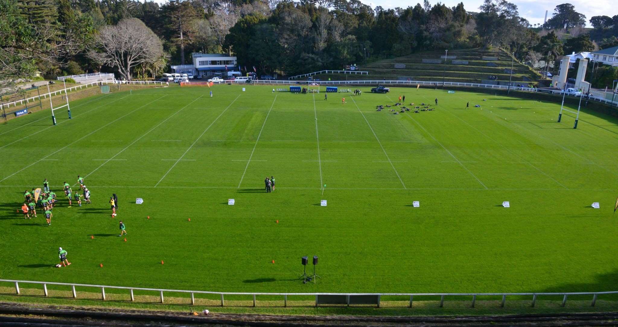 Bulls could play at Pukekura Park