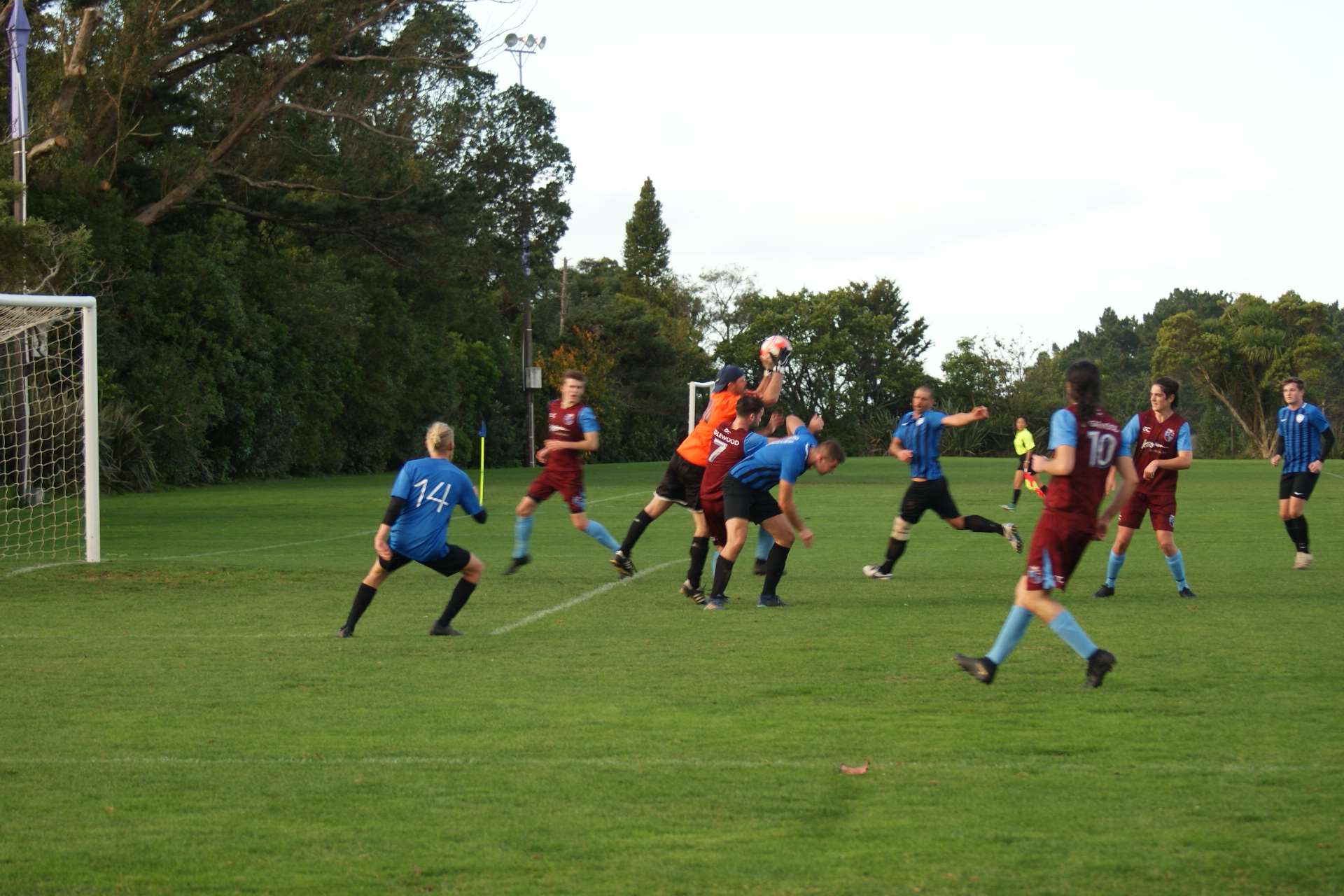 Defaults in Fed League and Premiership