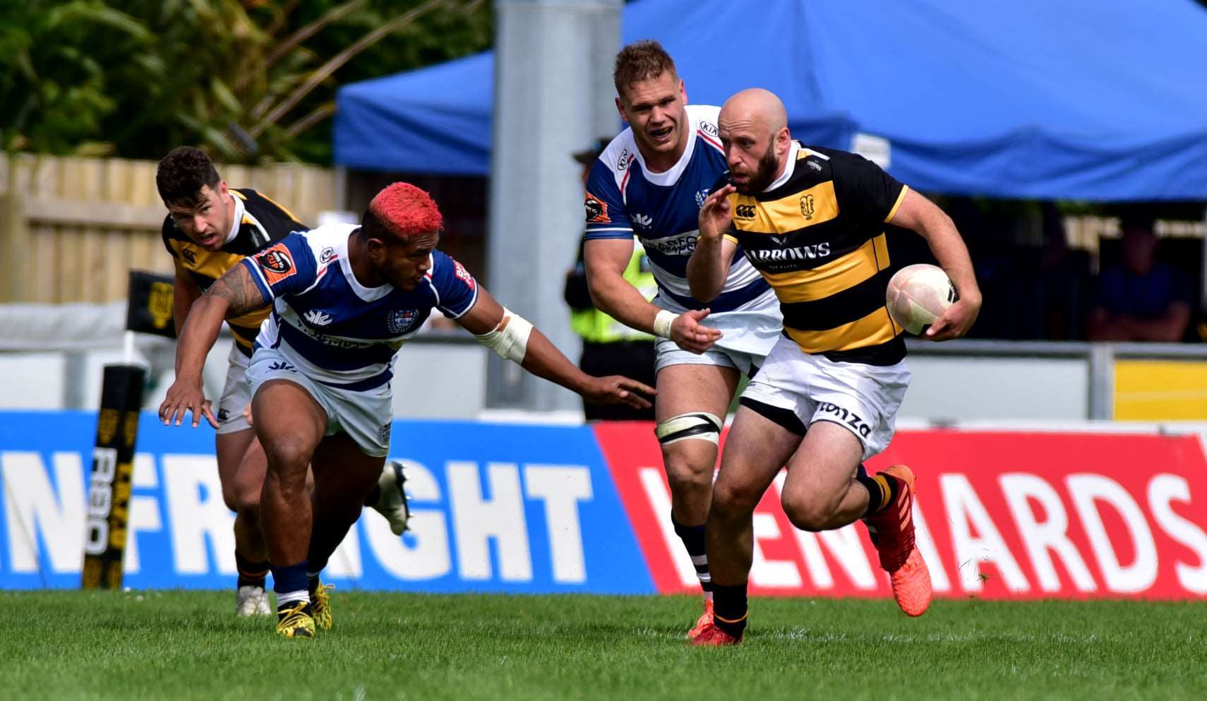 Rugby: Potroz brings up milestone against Otago 