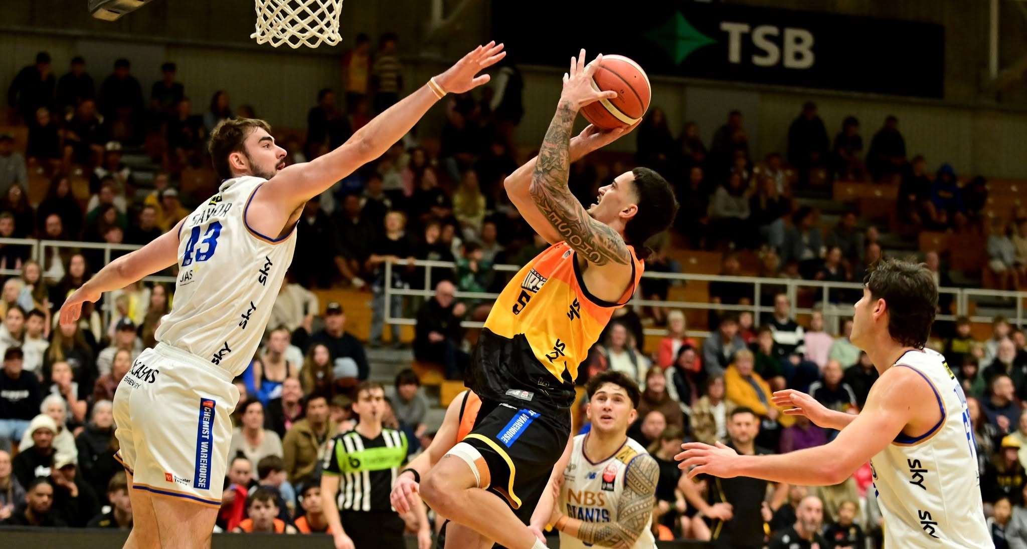 Basketball: Airs' playoff hopes dashed by Giants in home defeat