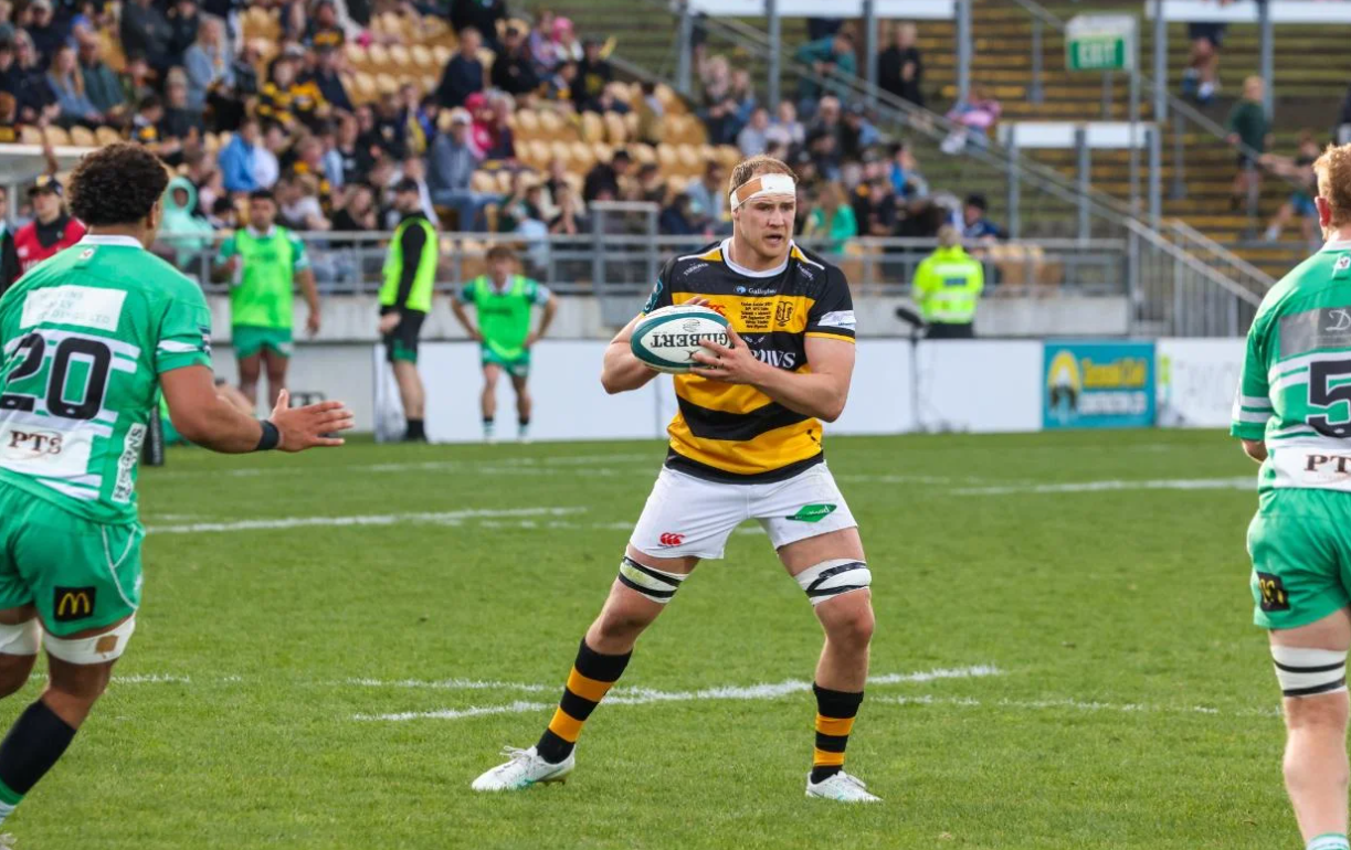 Rugby: Boshier ruled out, All Blacks return